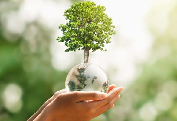 Framework Sustainability