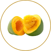 Mango Kernel
