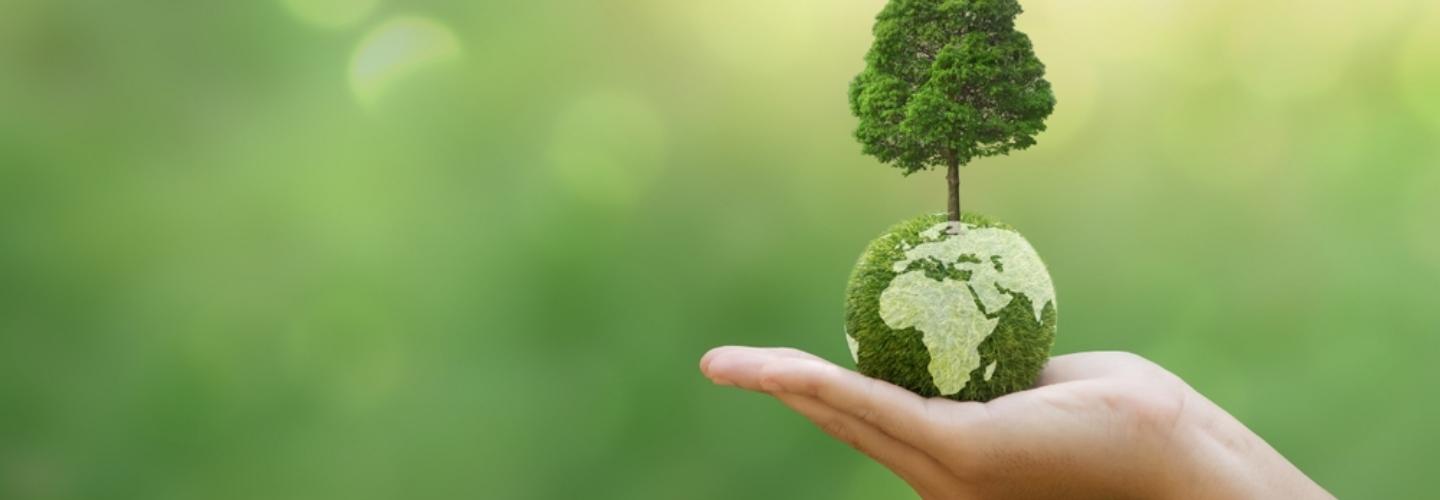 Recognized sustainability